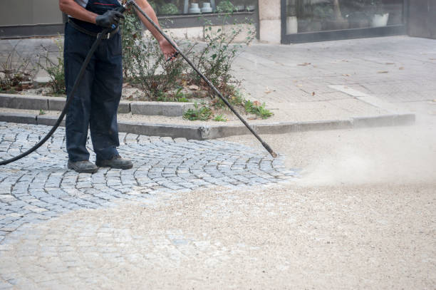 Best Fence Cleaning  in Herricks, NY